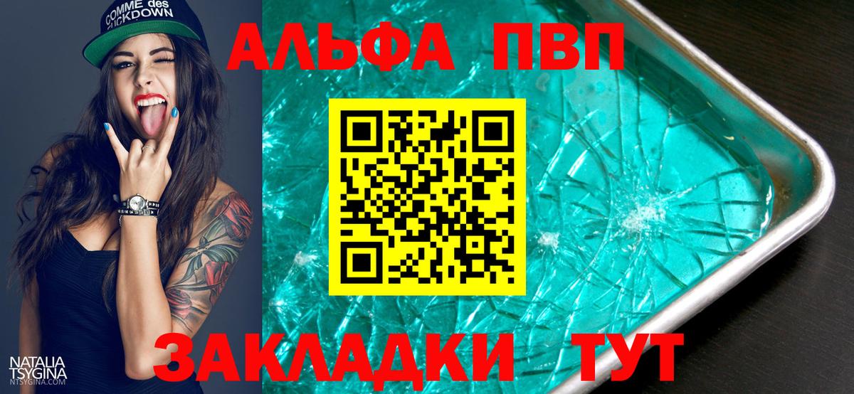 Альфа ПВП СК КРИС Назрань