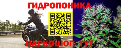 ALPHA PVP Уссурийск