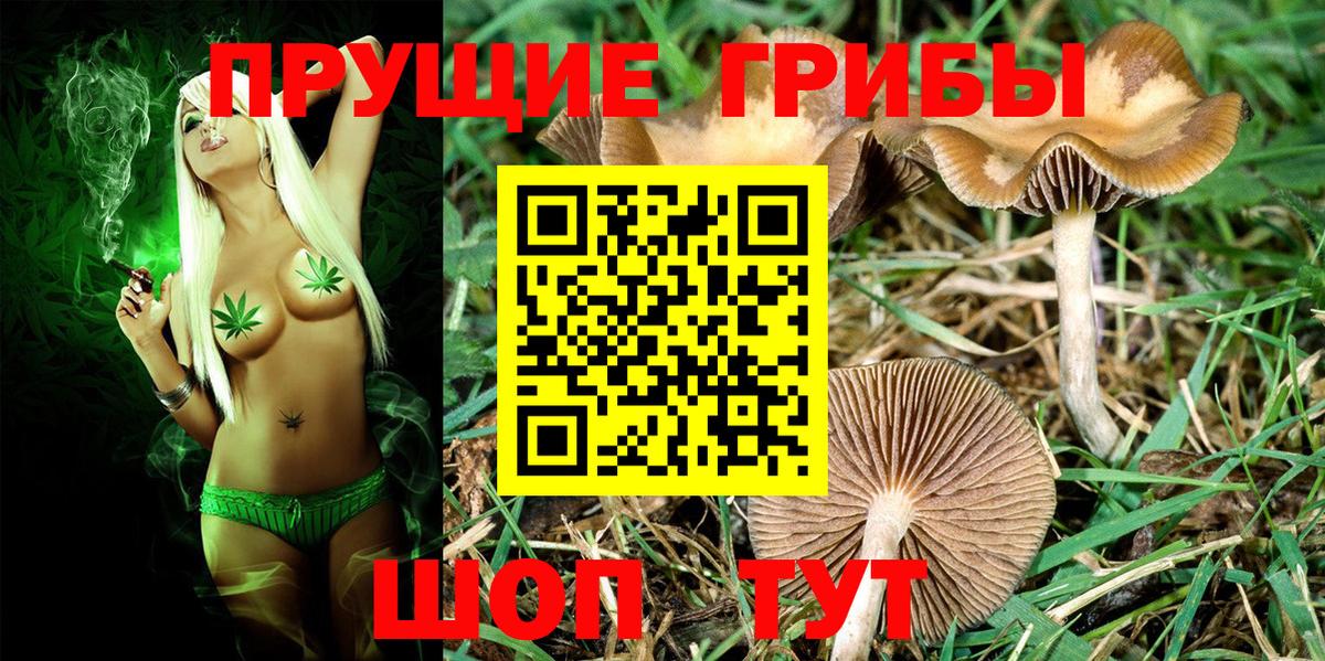 Галлюциногенные грибы ЛСД Назрань
